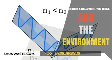 Radio Waves' Impact: Exploring Effects on Life and Ecosystems
