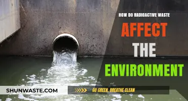 Radioactive Waste's Environmental Impact: Hazards, Risks, and Long-Term Consequences