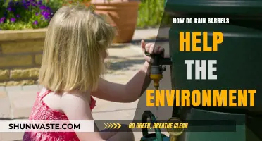 Rain Barrels: Eco-Friendly Solutions for Water Conservation and Sustainability