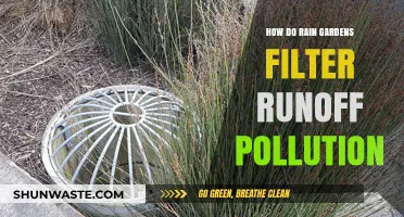 Rain Gardens: Natural Runoff Pollution Filters