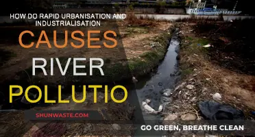 Urban Growth's Dark Side: Industrialization's Impact on River Health