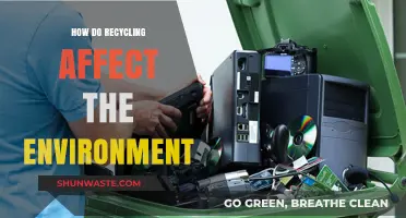 Recycling's Impact: How It Shapes and Protects Our Environment