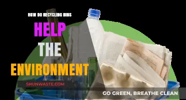 Recycling Bins: A Simple Yet Powerful Tool for Environmental Conservation