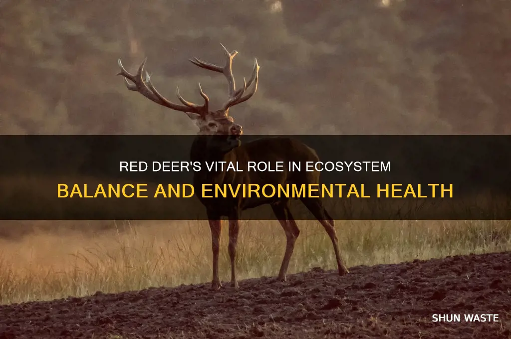 how do red deer help the environment