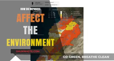 Refugee Impact: Environmental Challenges and Sustainable Solutions for Displacement