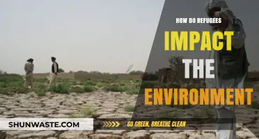 Refugee Crises and Environmental Challenges: A Complex Interconnection