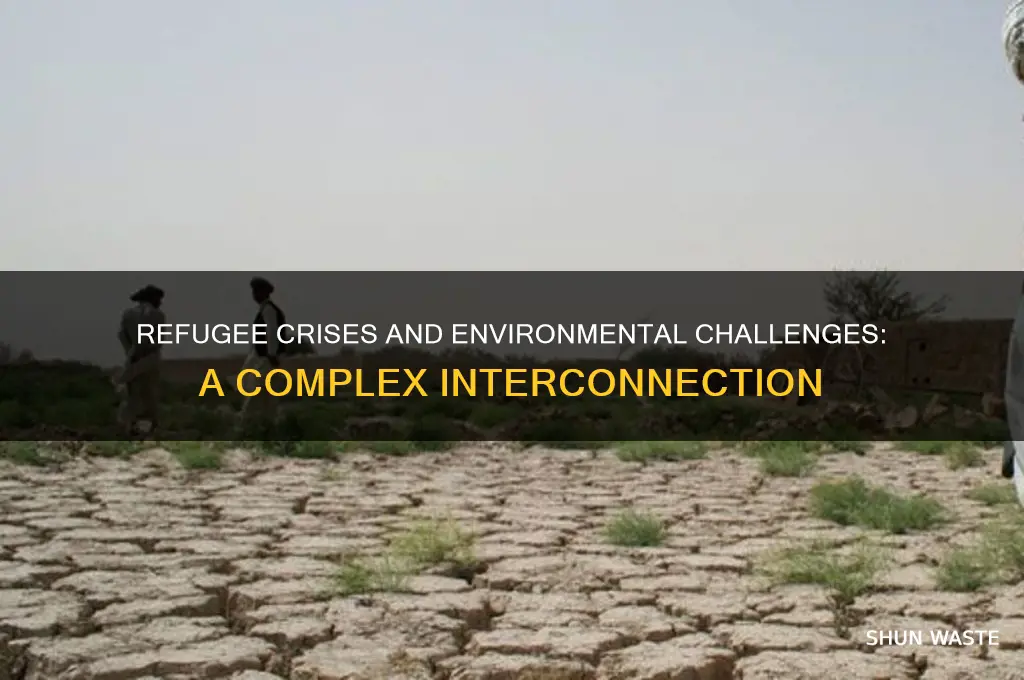 how do refugees impact the environment