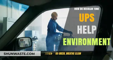 Eco-Friendly Maintenance: How Regular Tune-Ups Benefit Our Environment