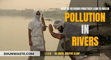 Unveiling the Hidden Cost: Religious Rituals and River Pollution