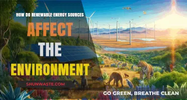 Renewable Energy's Environmental Impact: Benefits, Challenges, and Sustainable Solutions