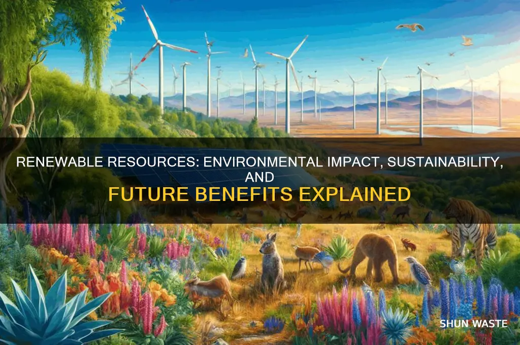 how do renewable resources affect the environment