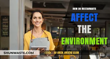 Restaurants' Environmental Impact: Food Waste, Energy Use, and Sustainability Challenges