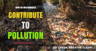 The Dark Side of Restaurants: Pollution and Waste