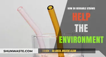 Eco-Friendly Sipping: How Reusable Straws Reduce Plastic Pollution