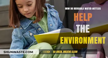 Eco-Friendly Hydration: Reusable Water Bottles' Impact on Our Planet