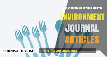 Reusable Utensils: Eco-Friendly Impact and Environmental Benefits in Journal Studies