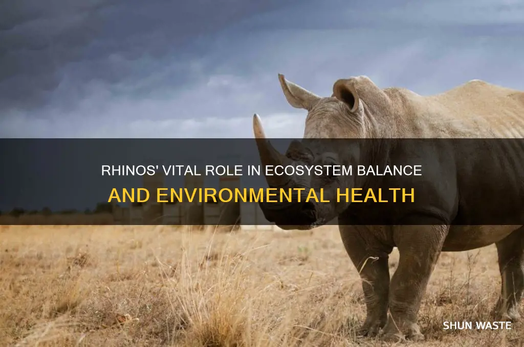 how do rhinos help the environment