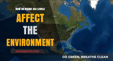 Rising Seas: Environmental Impacts and Ecosystem Disruptions Explained