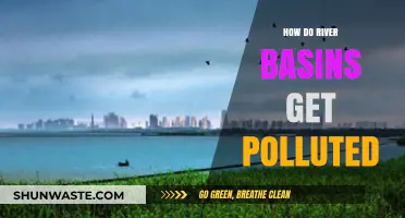 River Basins: Sources of Pollution and Impacts