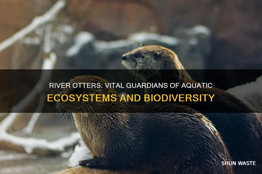 how do river otters help the environment