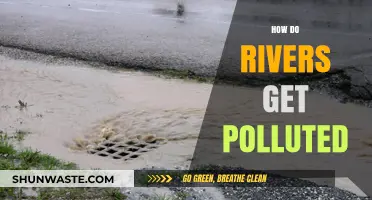 Rivers Pollution: Human Impact and Sources