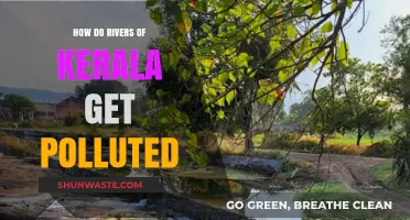 Kerala's Rivers: Polluted and Troubled