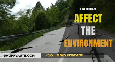 Roads' Environmental Impact: Habitat Loss, Pollution, and Ecosystem Disruption Explained