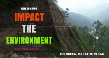Roads' Environmental Impact: Habitat Loss, Pollution, and Ecosystem Disruption Explained