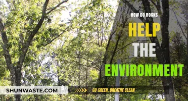 Rocks' Role: Unveiling Their Surprising Environmental Benefits and Impact