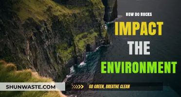 Rocks' Environmental Role: Shaping Ecosystems and Influencing Climate Patterns