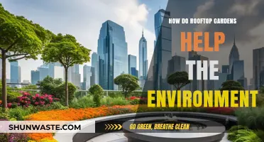 Green Roofs, Greener Planet: Environmental Benefits of Rooftop Gardens