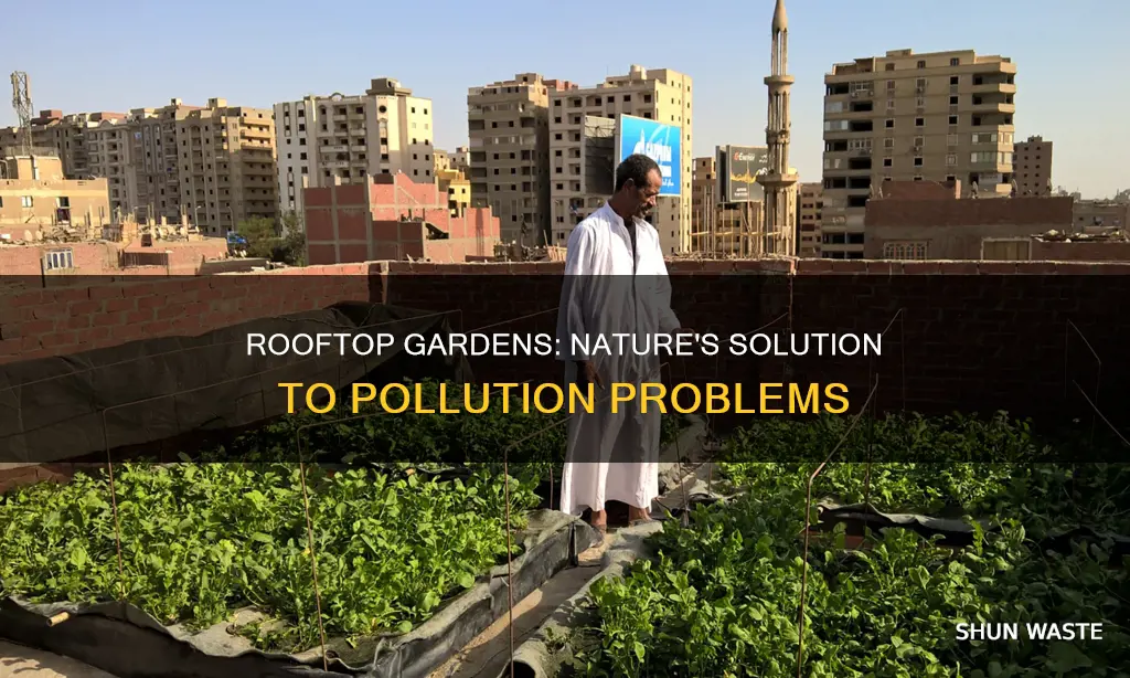 how do rooftop gardens reduce pollution