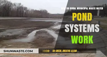 Understanding Rural Wastewater Ponds: A Guide to Municipal Treatment Systems