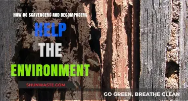 Scavengers and Decomposers: Nature's Cleanup Crew for a Healthy Environment