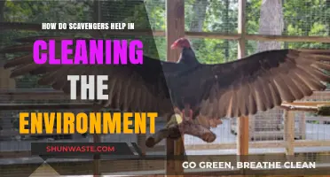 Scavengers: Nature's Cleanup Crew for a Healthier Environment