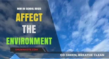 School Buses' Environmental Impact: Emissions, Efficiency, and Sustainable Solutions