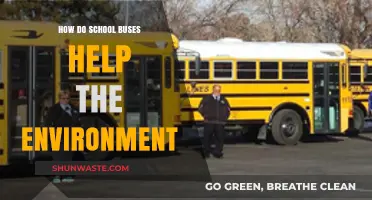 School Buses: Eco-Friendly Transportation Reducing Carbon Footprints and Traffic