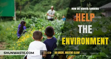 School Gardens: Nurturing Environmental Stewardship and Sustainable Ecosystems