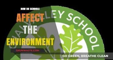 Schools' Environmental Impact: Sustainable Practices and Green Education Initiatives