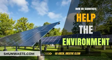 Scientists' Environmental Impact: Innovations and Solutions for a Sustainable Future