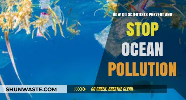Scientists' Efforts to Combat Ocean Pollution