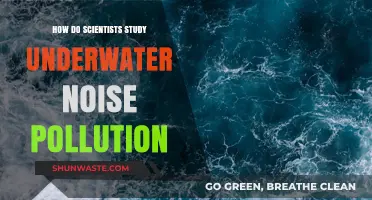 Scientists' Methods for Studying Underwater Noise Pollution