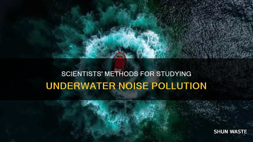 how do scientists study underwater noise pollution