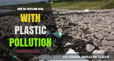 Scotland's Plastic Pollution Solutions: Strategies and Innovations