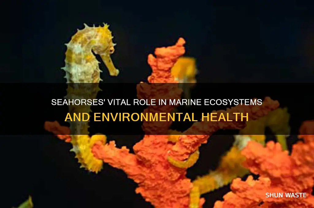 how do seahorses help the environment
