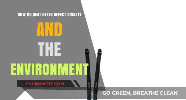 Seat Belts: Societal Safety, Environmental Impact, and Global Responsibility
