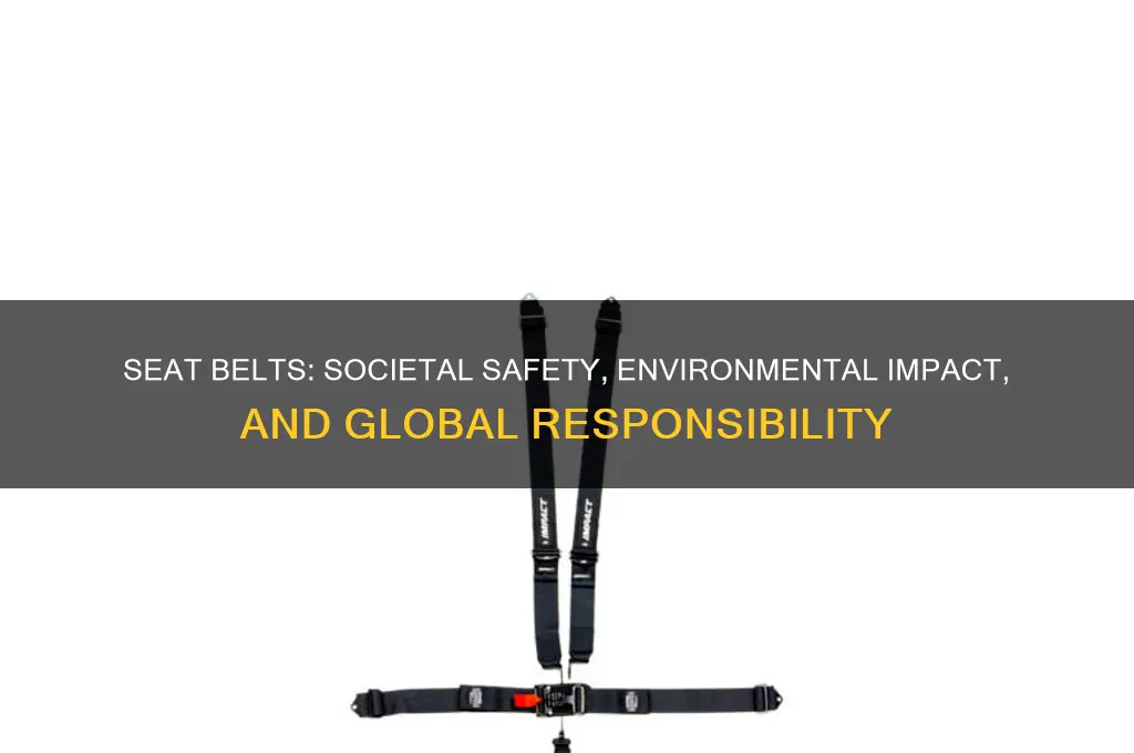 how do seat belts affect society and the environment