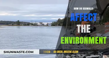 Seawalls' Environmental Impact: Erosion, Ecosystems, and Coastal Changes Explained