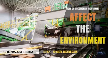Secondary Industries' Environmental Impact: Challenges and Sustainable Solutions Explored