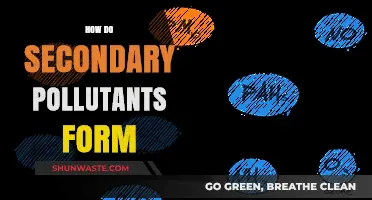 Secondary Pollutants: Formation and Impact on Air Quality